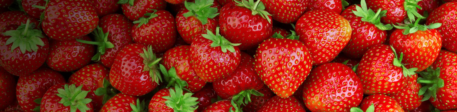 Les fraises